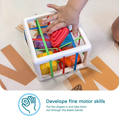 Aprilwolf - Cube & 6 Sensory Shape Block