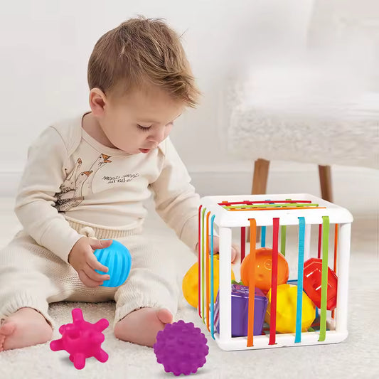Aprilwolf - Cube & 6 Sensory Shape Block